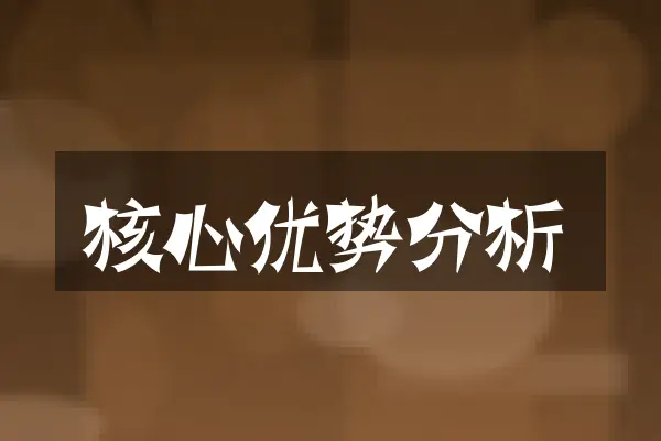 核心优势分析